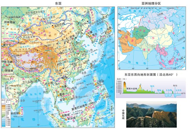 2019久久久高清456