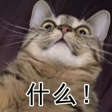 啄木鸟戒挑战 请立即告知其严重风险