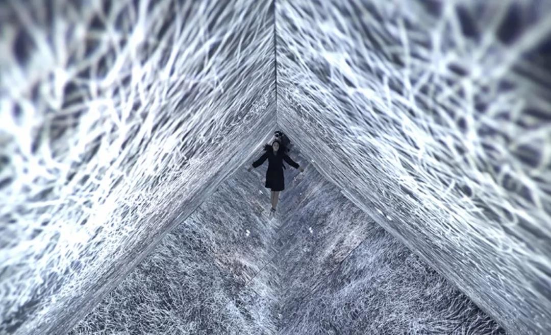 尤直播 您可以补充更多信息