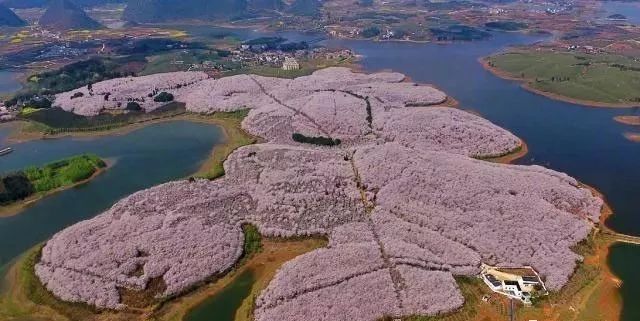 亚洲精品影院老金91