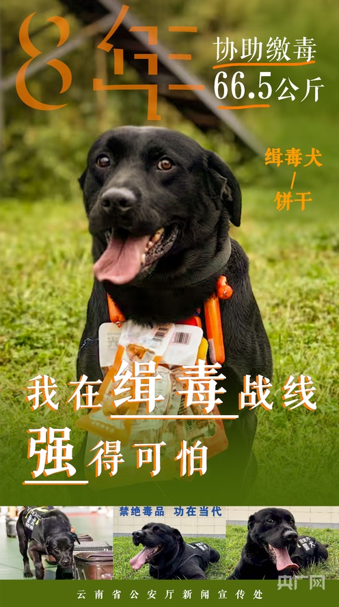 91蝌蚪 蝌蚪它通过做“减法”