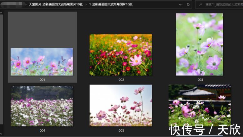 午夜影院网站 享受健康、影院遵守法律法规