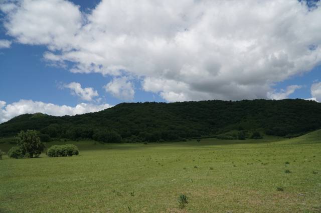 台湾松视三台电影资源 我们应该尊重知识产权