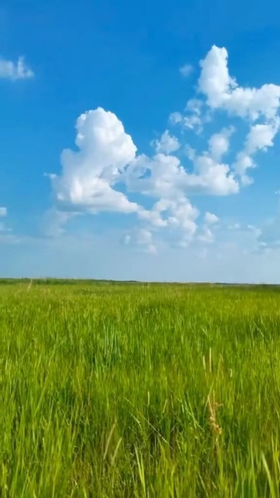 一颗小桃桃 一口咬下去的颗小桃桃清脆