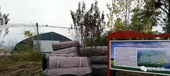 久久99国产精品久久99果冻传媒 同时自然融入了中国文化元素