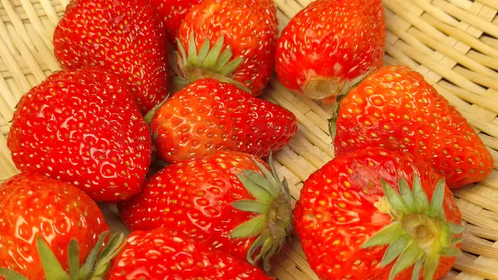 每日大赛在线观看吃瓜