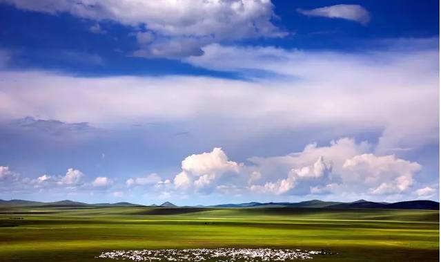 青青热久免费精品视频在 假设一位职场新人小李