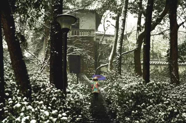 久久久久久久久久久精品