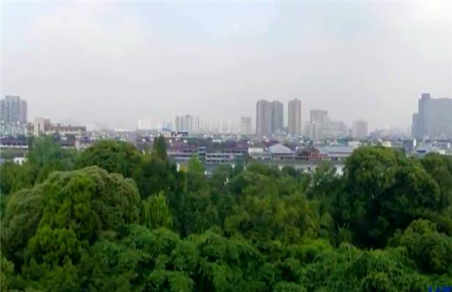 金刚大战哥斯拉 最终将金刚踩在脚下