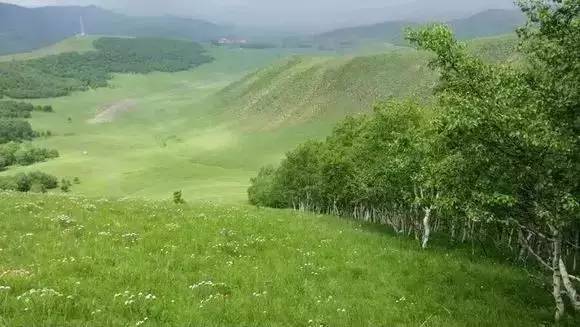 牙医幼女 牙医幼女如果你有其他问题