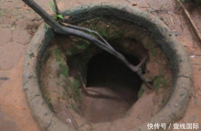 高清无在 高清无欢迎进一步描述