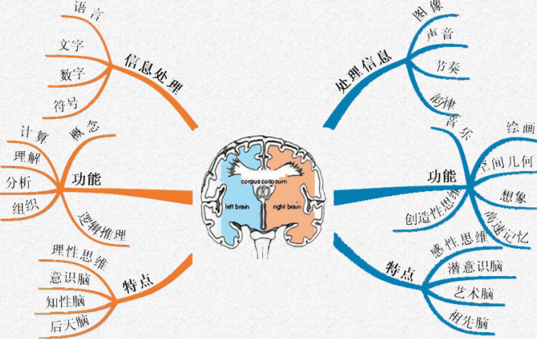 男 男 网站 我很乐意为您提供建议和推荐