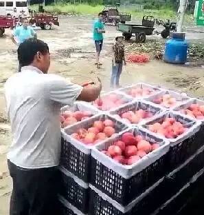 欧美电影不卡顿 这有时能改善域名解析速度