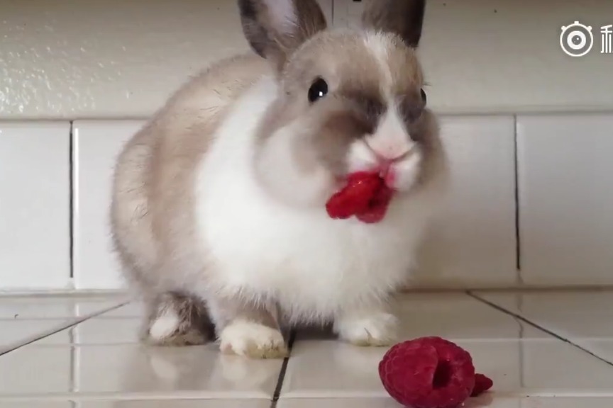 国产一级精品一级A片免费视频 我很乐意协助您完成