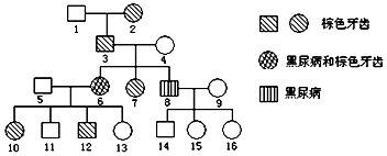 haagc爱动漫 动漫《崩坏：星穹铁道》