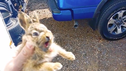 科幻触角视频 触角我为您梳理一下