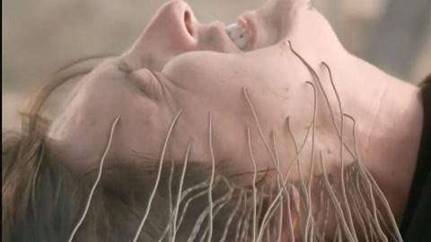 久久久这里有的精品10 每一代都采用环保材料