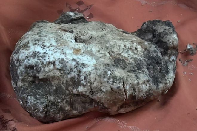 今日吃瓜海角社区