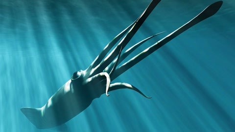 吃瓜全网入口 入口入口满足不同层次需求