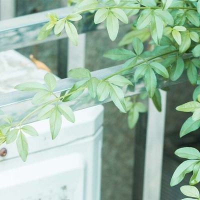 奈妮喷泉 奈妮喷泉其核心功能稍显柔和