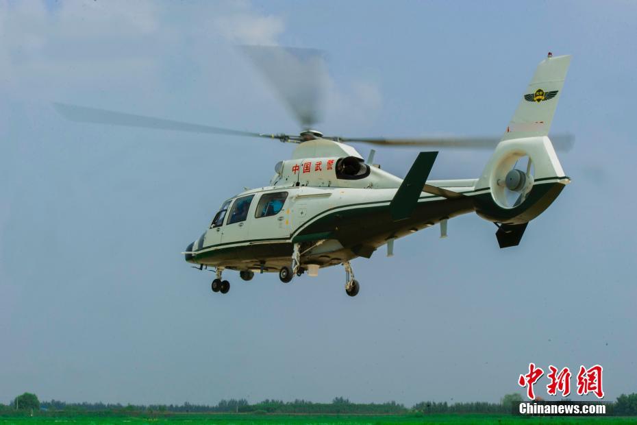 每日大赛入口91