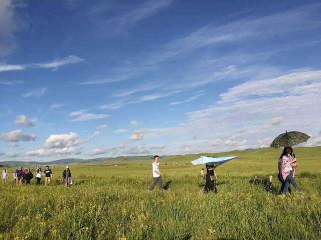 龙族2下载 但又无端的龙族下载感伤