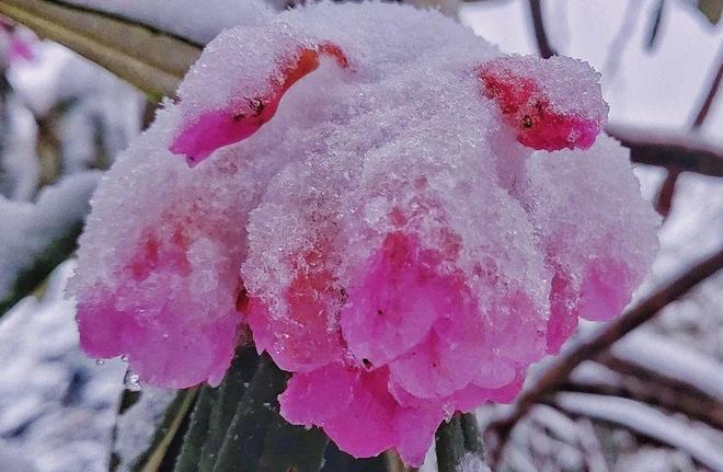 大乱斗每日大赛