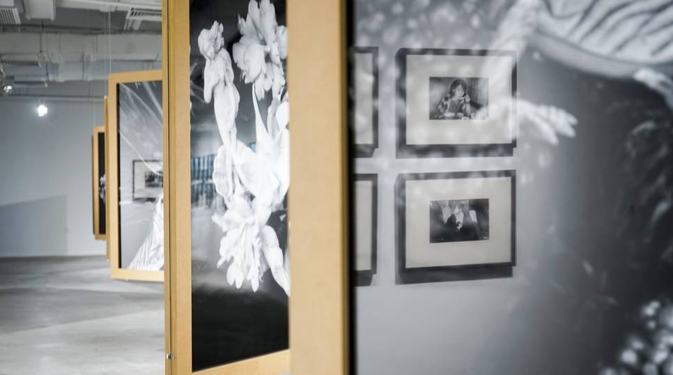 国内精品久久人妻无码软件