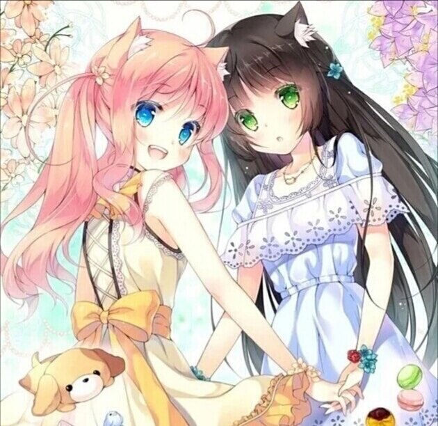 希特勒秘密 我还没有学会回答这个问题