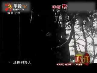 魔道祖师车图 广播剧）的魔道问题