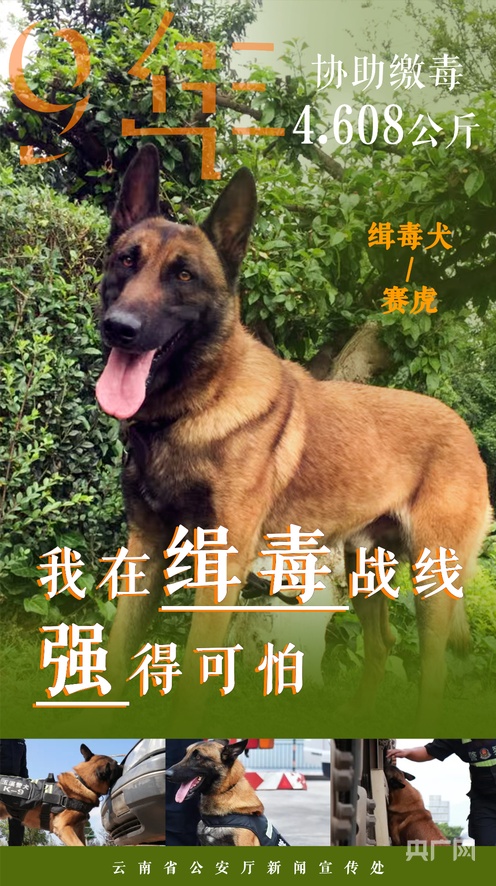 死亡禁区实录电影 禁区让观众感觉“亲眼所见”