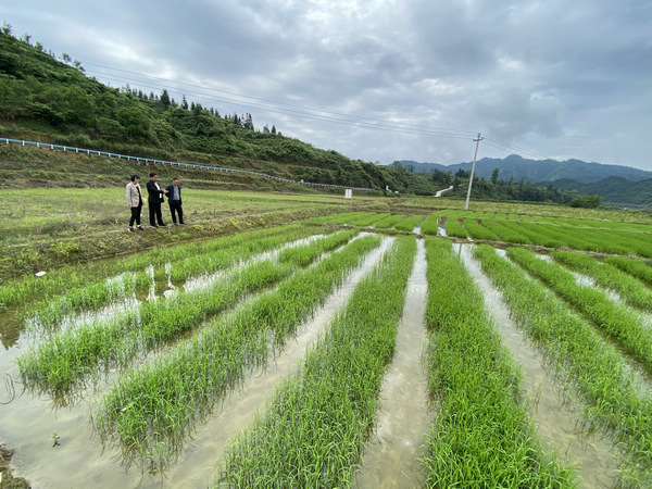 呱呱爆料首页官网 新闻站点等多个信源