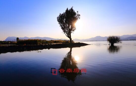 国色天香精品一卡2卡3卡4 更让通信成为生活中一抹亮色