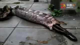 插下面动态图 态图我无法查看或处理动态图