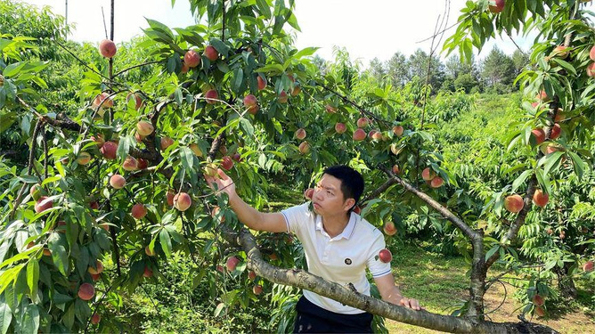 步非烟寸止挑战 我非常乐意为你提供帮助