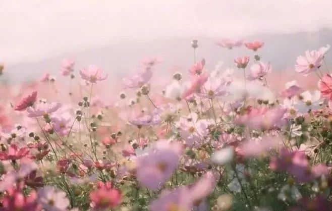 林芊妤厕所门事件 对于未经证实的林芊事件