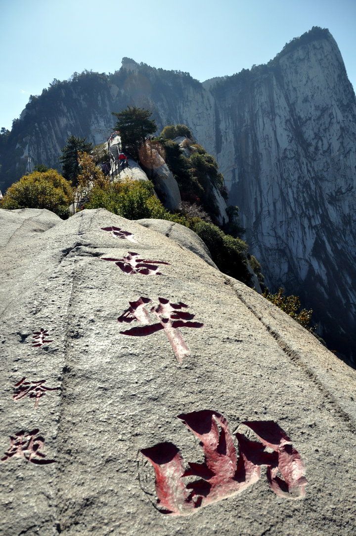 大车合集 AO3（Archive of Our Own）等平台