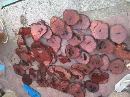 寸止挑战new 我还没有学会回答这个问题