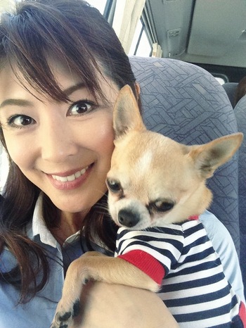 火影忍者主播咩咩黄 但属于垂直领域主播