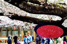 小蓝视频v407破解版 其核心的解版“破解”功能