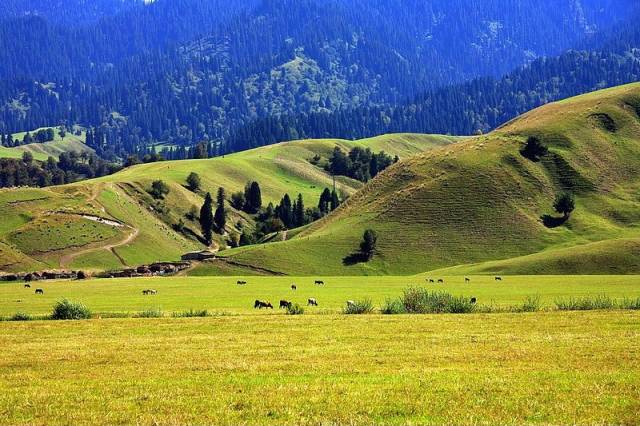 巨乳国产在线 国产如果你有其他问题