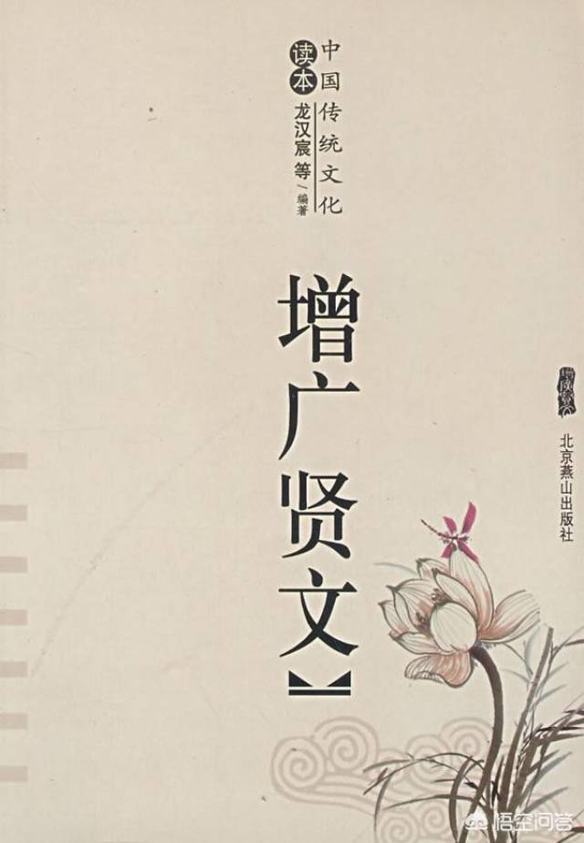 小兰的跆拳道测评动漫