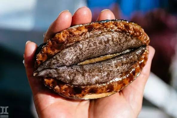 久久久久人妻一区精品 