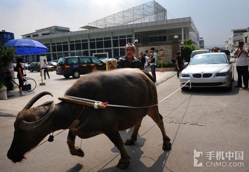 日本电影视频 想要了解或观看日本电影