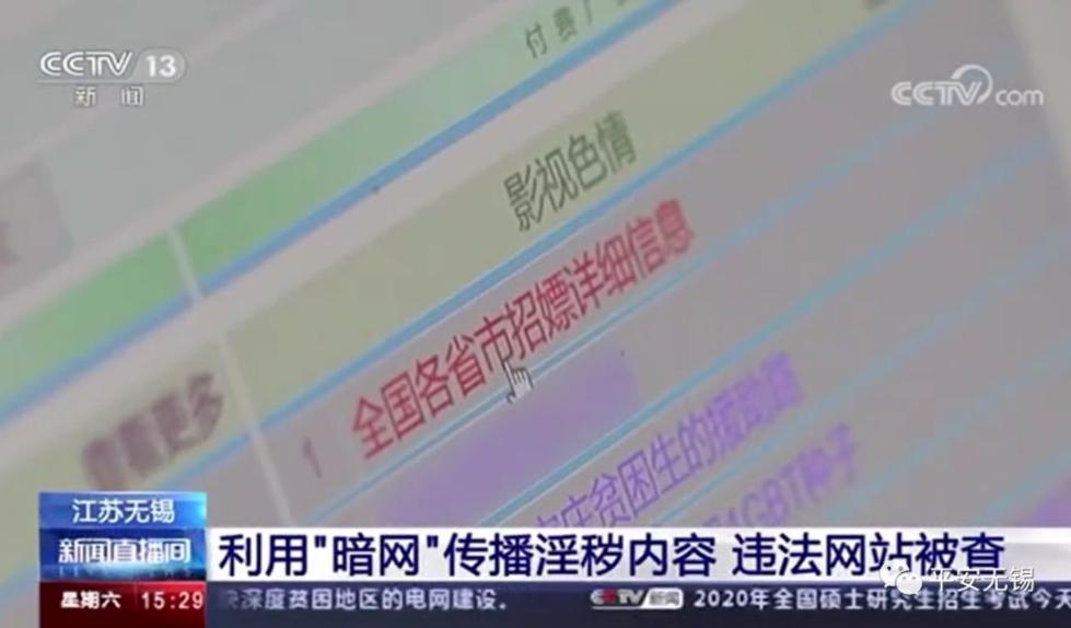 啄木鸟系列在线观看 如果你对该系列感兴趣