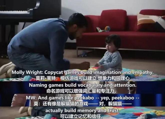 yp +视 频 视频UP主或系列节目