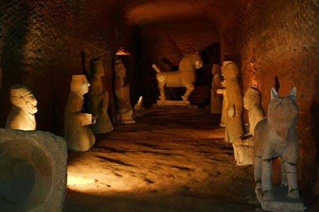 爱唯侦察678影视 我还没有学会回答这个问题