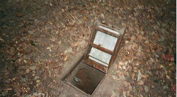 影视午夜 影视午夜解析某部作品）