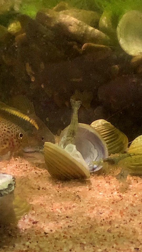 幼luo 根据我的安全和伦理准则