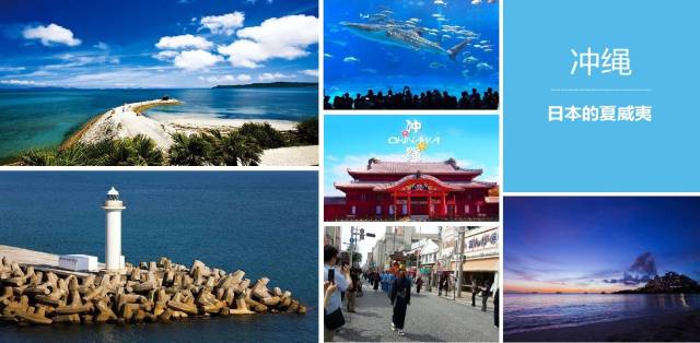 在线看片网站 片网使用体验及市场定位